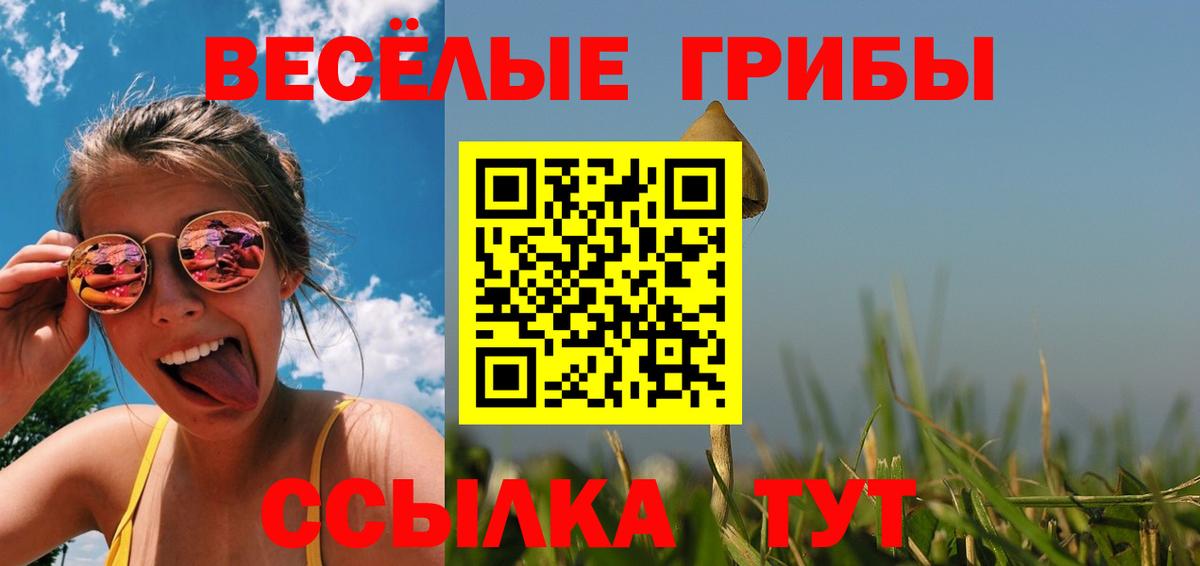 Галлюциногенные грибы Psilocybine cubensis  Вход с VPN  Георгиевск 
